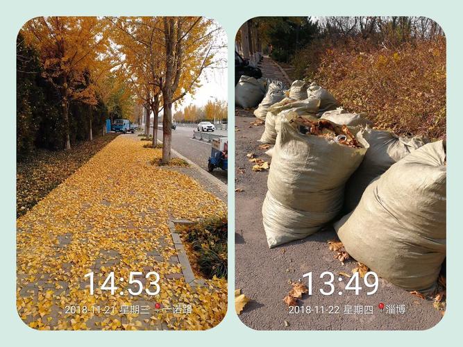 淄博分公司 加強(qiáng)保潔力度，全面做好迎檢工作